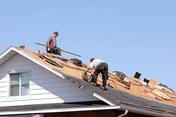 Best Sheet Metal Roofing  in Paola, KS